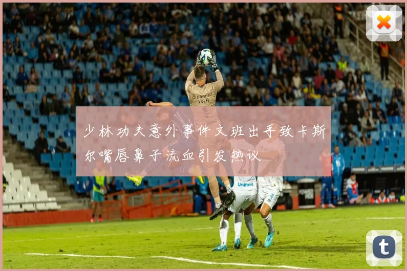 少林功夫意外事件文班出手致卡斯尔嘴唇鼻子流血引发热议