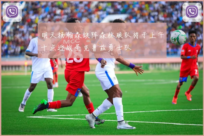 明天杨瀚森缺阵森林狼队将于上午十点迎战圣克鲁兹勇士队